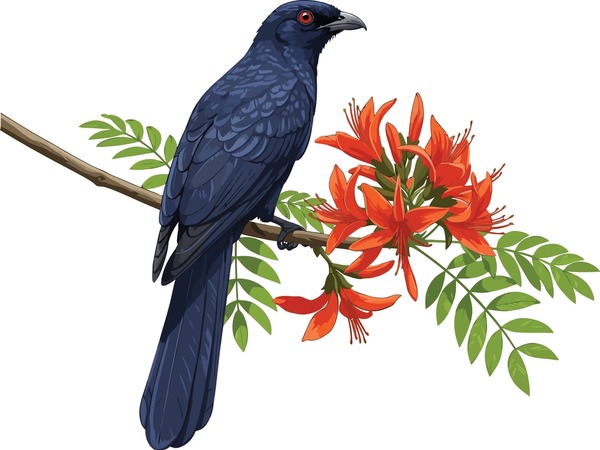 realistic asian koel perched on 600nw 2744887903 - Sinhala Tamil New Year quotes image